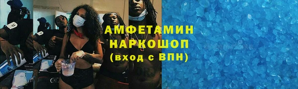 индика Зеленокумск