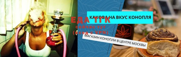 индика Зеленокумск