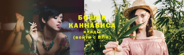 Альфа ПВП Инсар