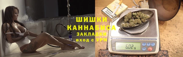 индика Зеленокумск
