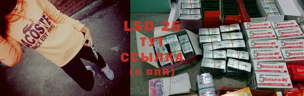 индика Зеленокумск