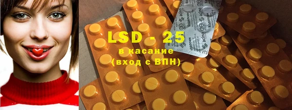 индика Зеленокумск