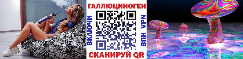 Купить где  Вяземский  Псилоцибиновые грибы Cubensis 